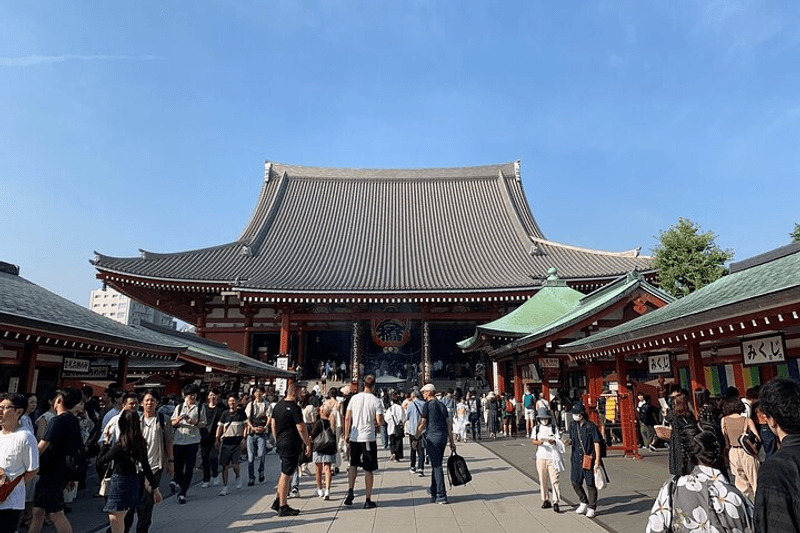 Private Customized Car Tour with a Guide